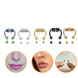 Magnetic Non-Piercing Fake Nose Rings